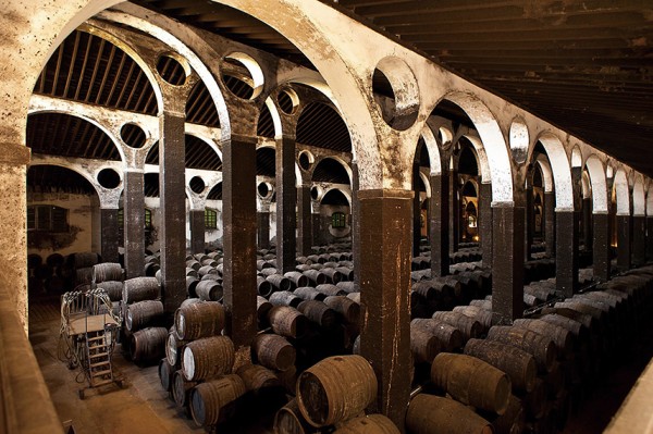 wine101