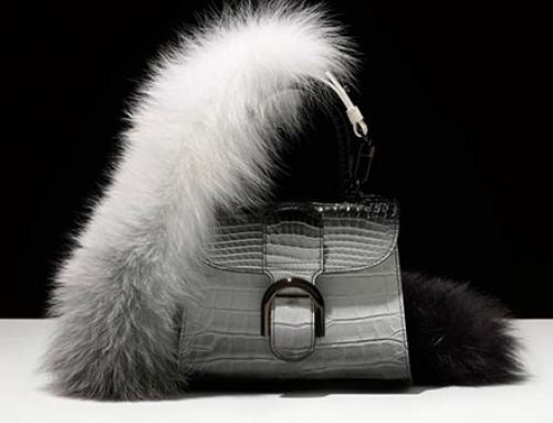 DELVAUX (德尔沃) DELVAUX 2018/2019 秋冬系列