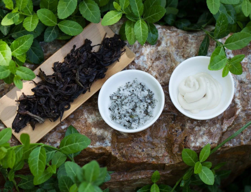 春天，焕发无限生机 RENEW & REJUVENATE